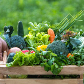 Frische Tomaten pexels-alesiakozik-7341975